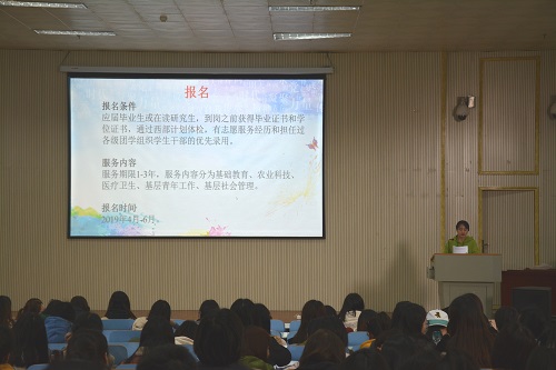 澳门电子pg游戏官网召开2019届毕业生就业指导会